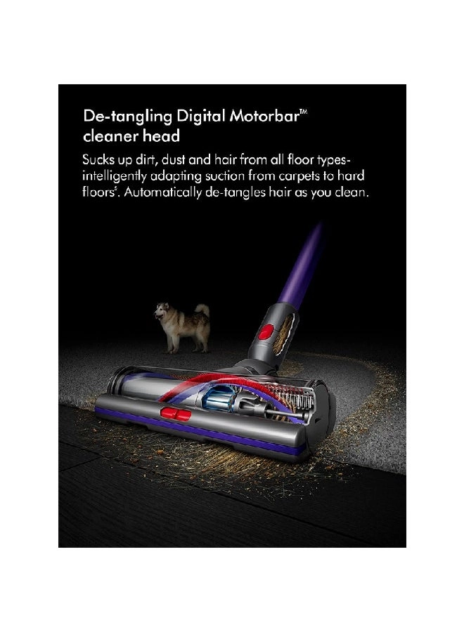 Gen5 Detect Absolute (447038-01)