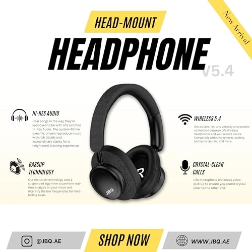 HS-300 Wireless Headphone