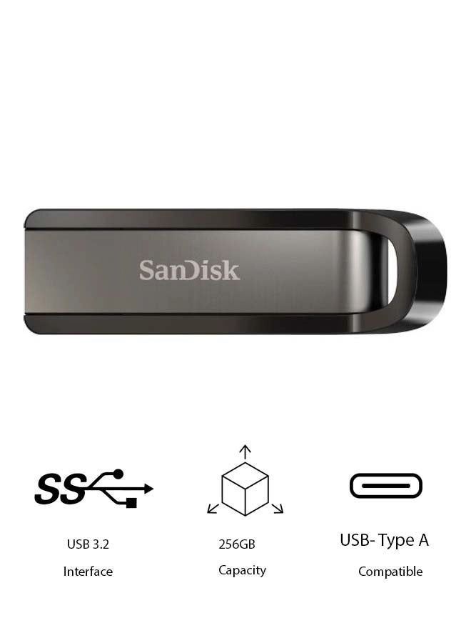 SanDisk Extreme Go 256GB