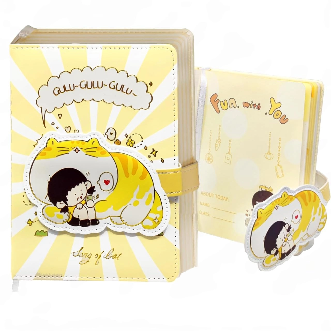 Diary for Girls