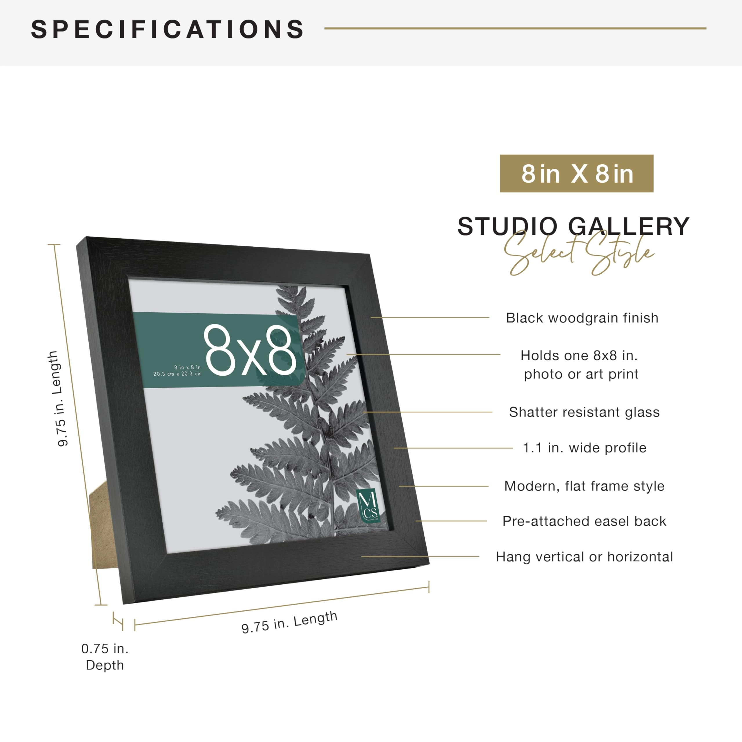 Studio Gallery - 8x8 1