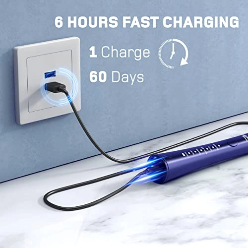 WT7700 - 8 Charcoal Black Brush Heads Blue