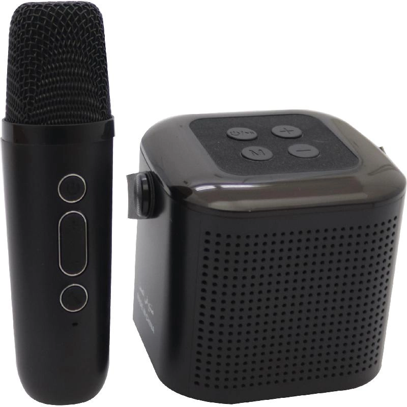 Non Branded Portable Microphone with Bluetooh Speaker