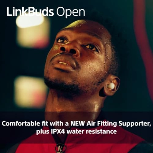 LinkBuds Open Wireless Earbud