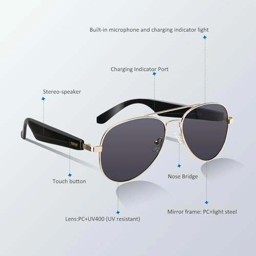 TOGS2001 - Bluetooth AI Translation Polarized