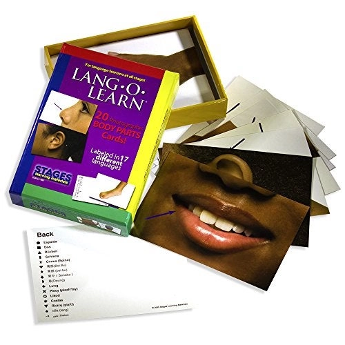 Lang-O-Learn Body Parts Photo Cards - 20 pieces