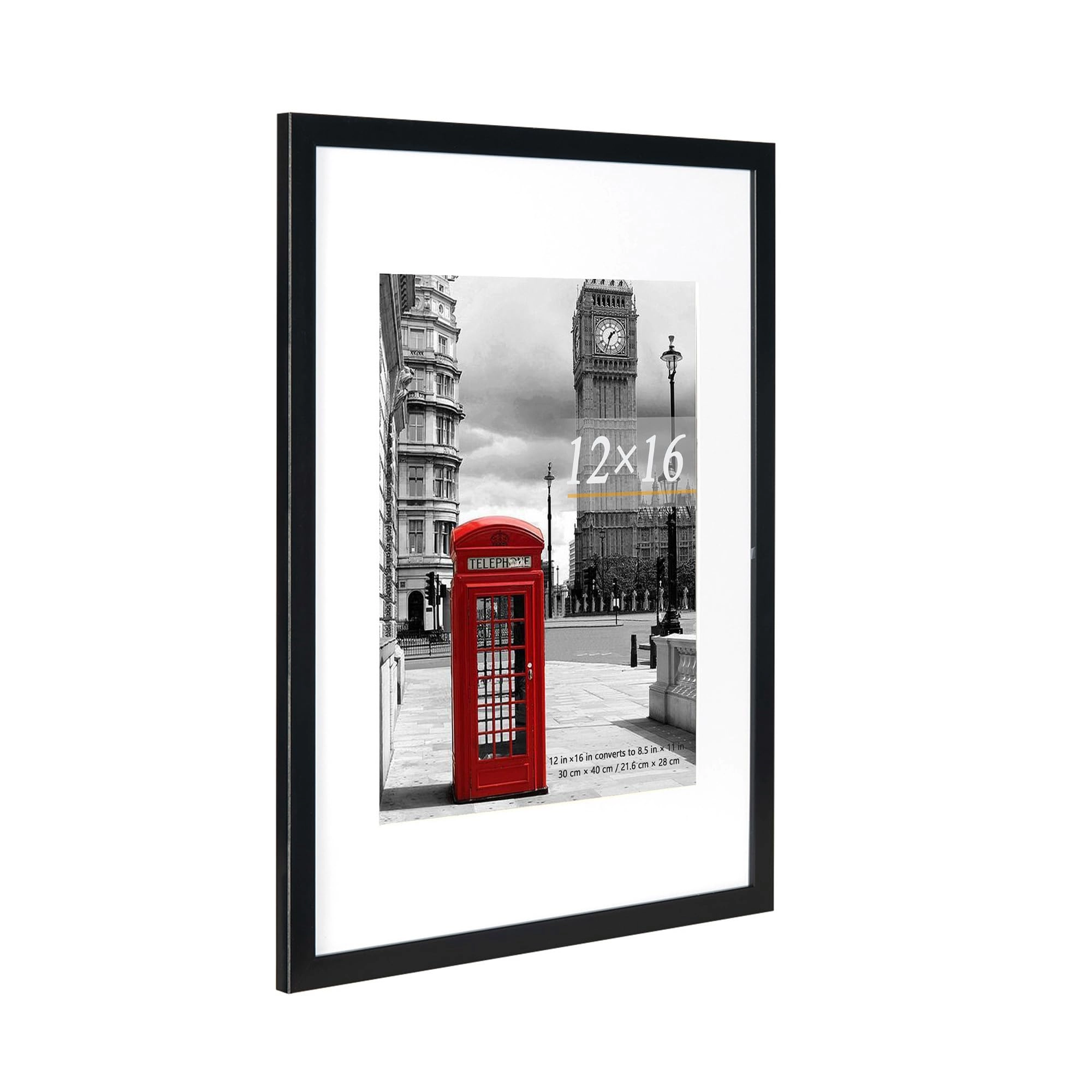 Scholar Tree Single Picture Frame - 12x16 1.0 Count