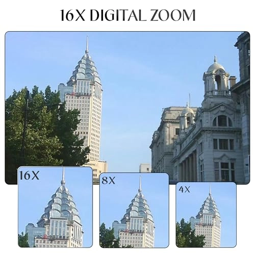 DigiPix 100
