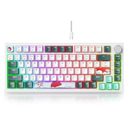 75% Mechanical Keyboard - Wired