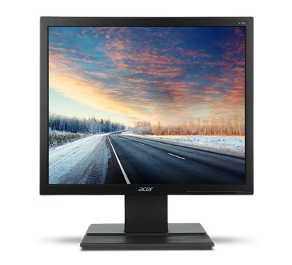 V196L - 19 inch 1280 x 1024 (SXGA)