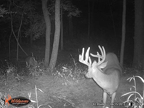 CLOAK LIGHTSOUT - 24MP