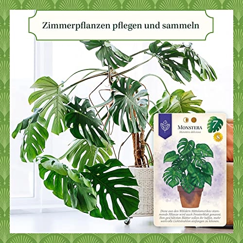 Rich Green, Who Has the Greenest Thumb? - Tile Game (German)