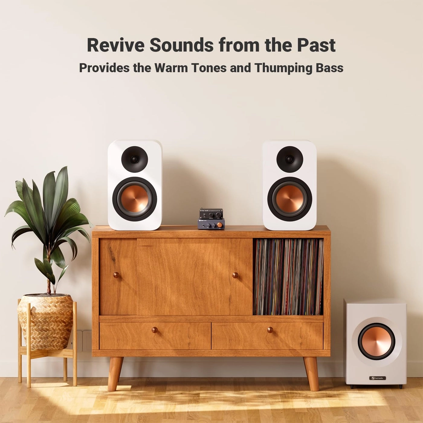 M04 - Class D Mono Channel