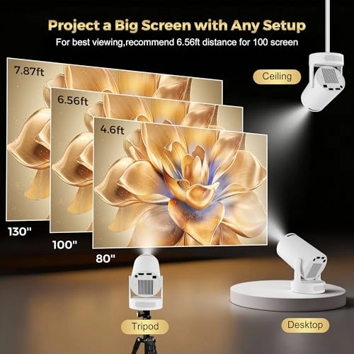 HY 300 RPO+ 200 ANSI lumens 1280 x 720 pixels