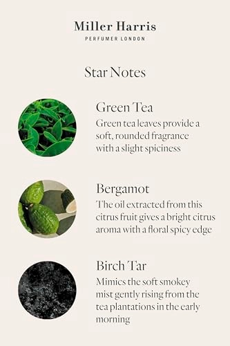 Tea Tonique Eau de Parfum 50ml