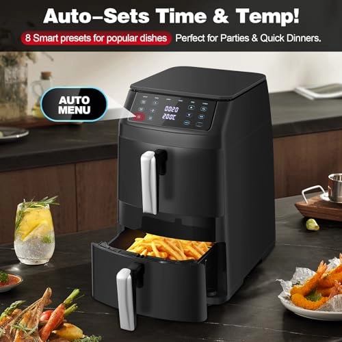 Dual Air Fryer AF1102