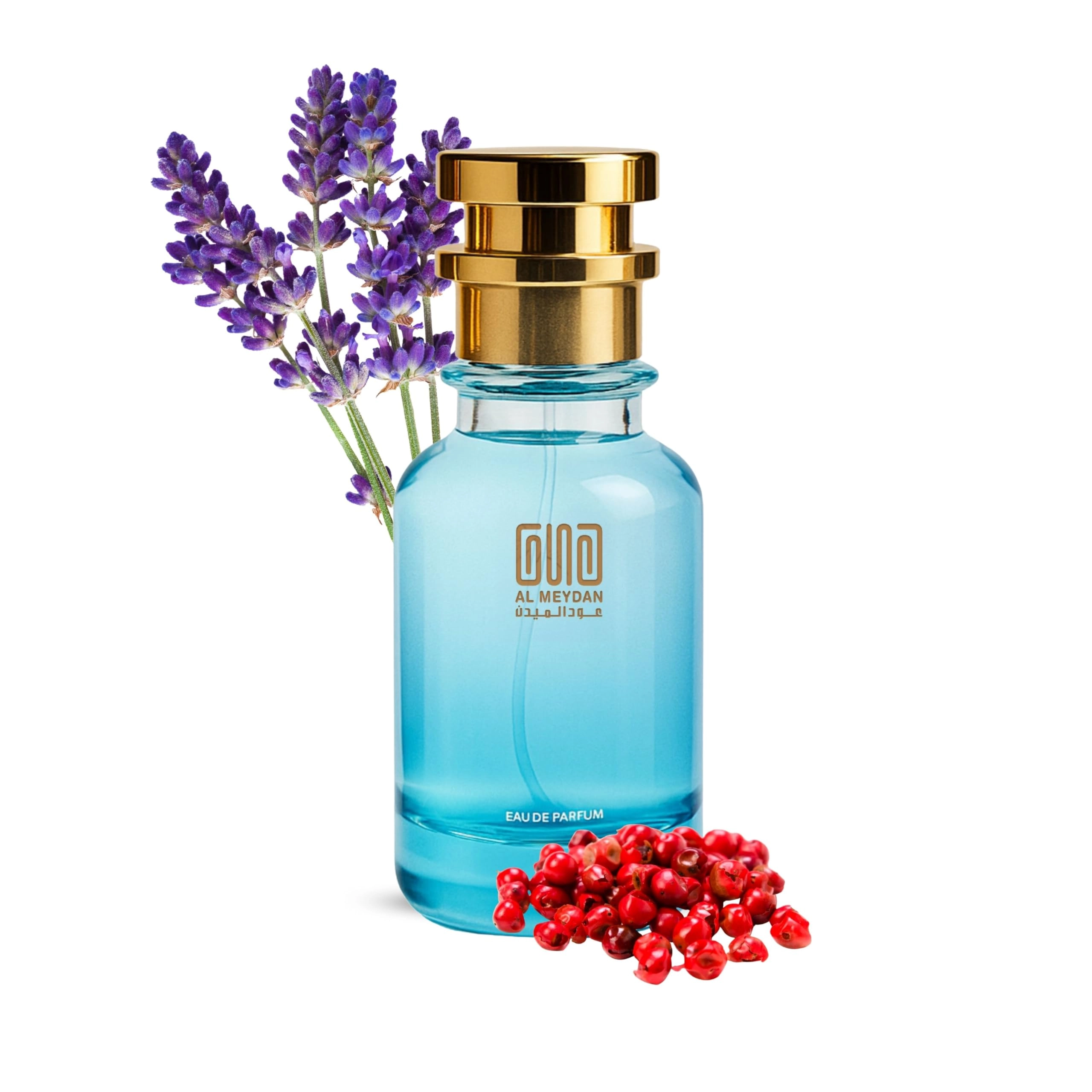 Oud Al Meydan Impression of Narcisso Rodrigueez for Him Eau de Parfum 80 ml