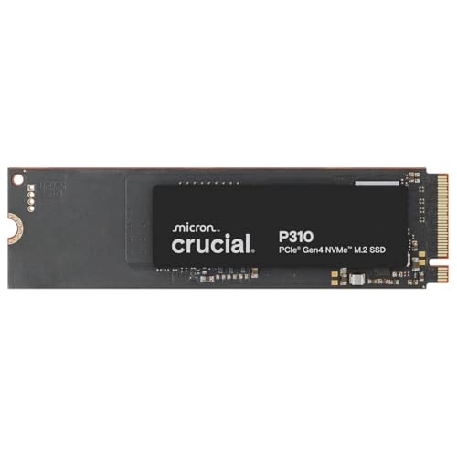 P310 - 500GB M.2 2280