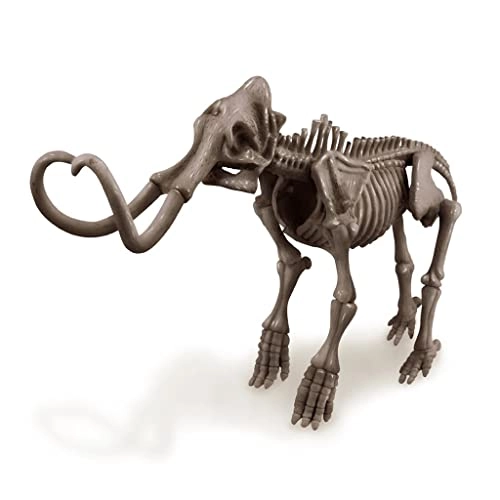 Mammoth Skeleton Excavation - Science