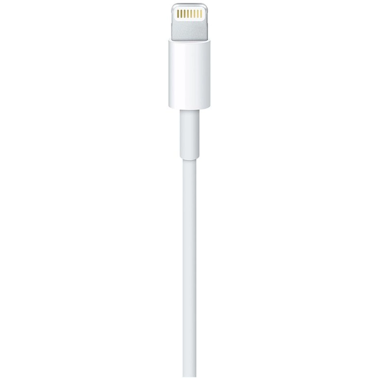 Lightning To USB Cable Lightning to USB 1m