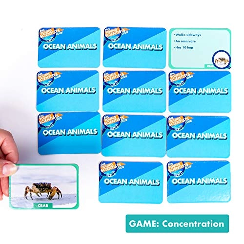 Ocean Animals Card Games - 5 years and up
