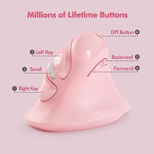 Vertical Ergonomic Mouse - Wireless