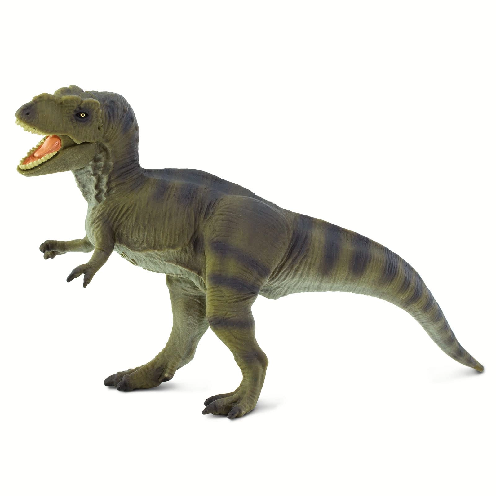 Dinosaur - Tyrannosaurus Rex