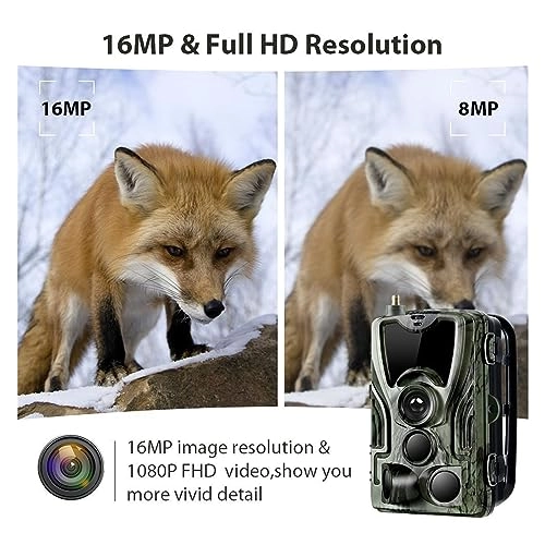 Wildlife Hunting Camera - 5MP