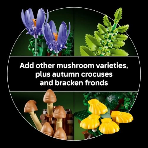 Woodland Mushrooms (11505) - Botanicals