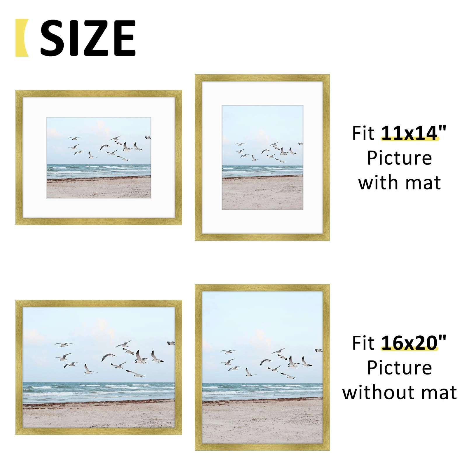 16x20 Frames Display