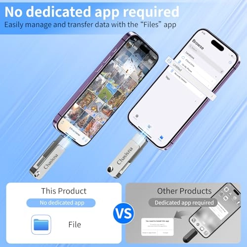 USB Stick - Type C 256GB
