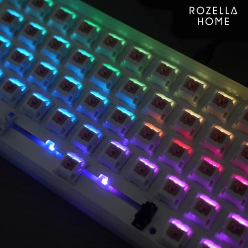 Holy Panda - 110PCS