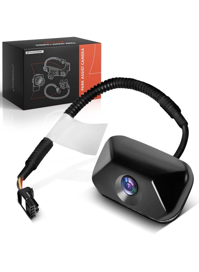 Park Assist Camera