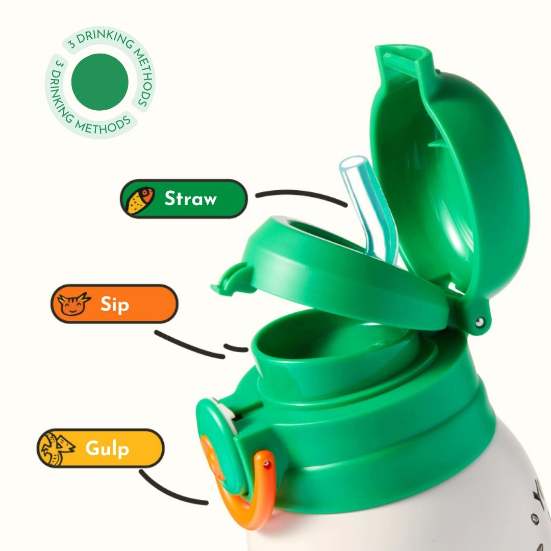 Vacuum Insulated Bottle with Holder - 500 ml