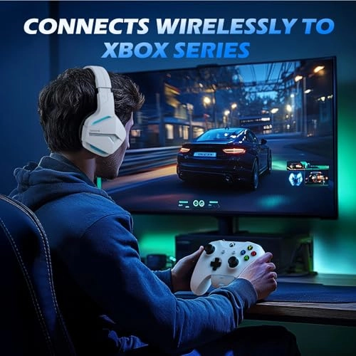 BW01-BT Wireless Headset