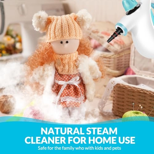 Steam Cleaner - 350 Milliliters
