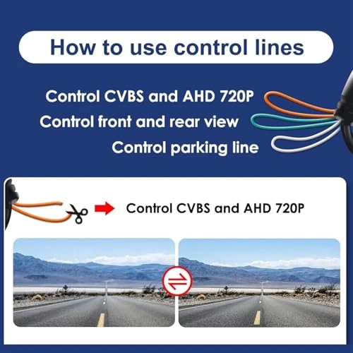 HS021 - CVBS 728 × 512