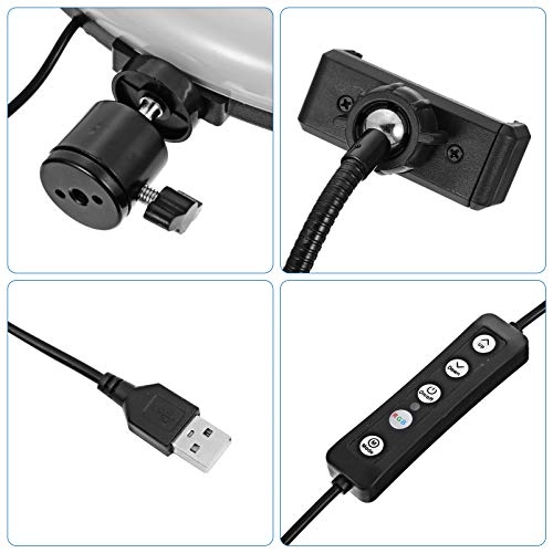 Ring Light - 31. 00X31. 00X3. 50cm