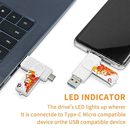 Photo-Stick - USB 3.0 Type C/Micro 256GB