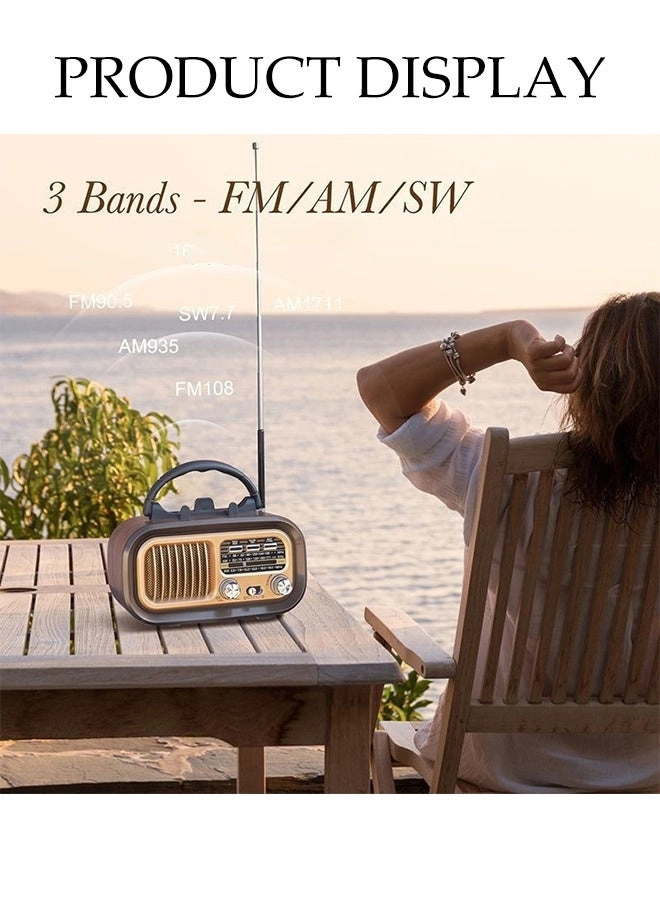 Radio Speaker - Portable