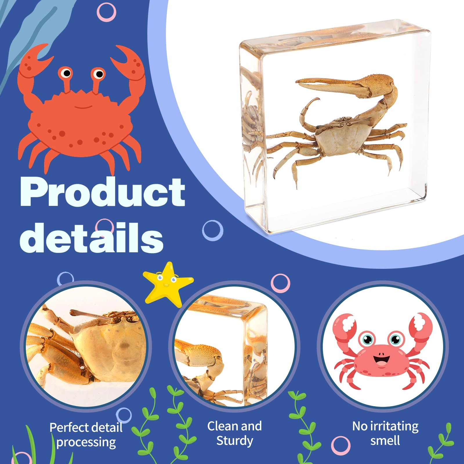Fiddler Crab - high-density resin