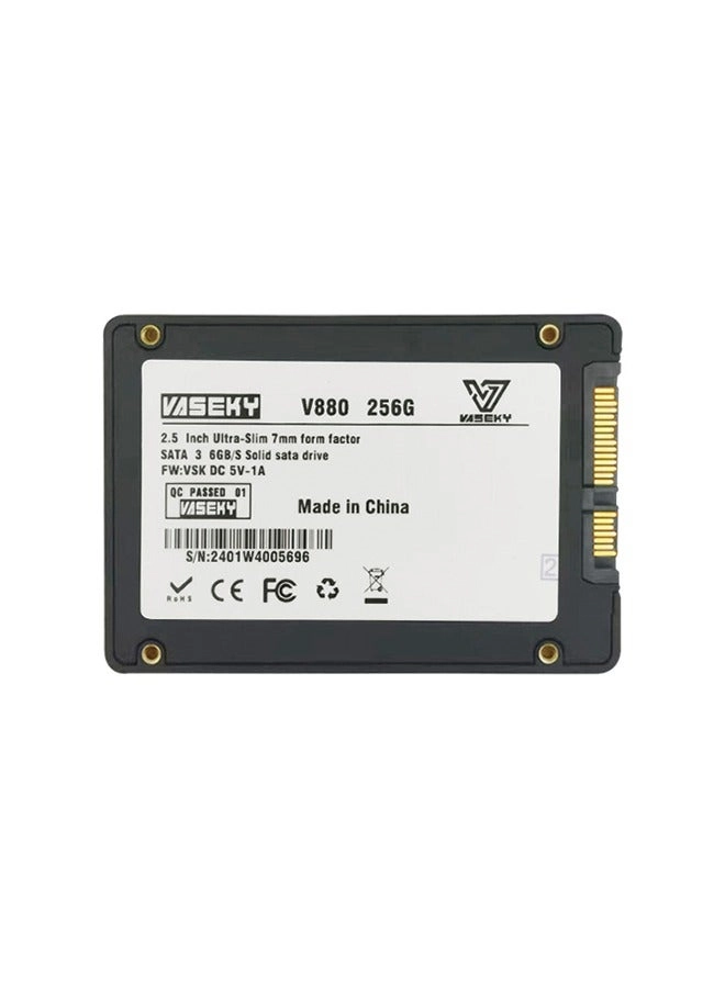 Vaseky SSD - 256GB 2.5-Inch