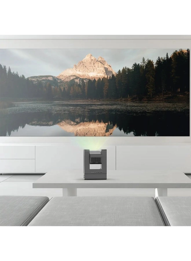 VisionArc PYM220CGY 300 ANSI Lumens