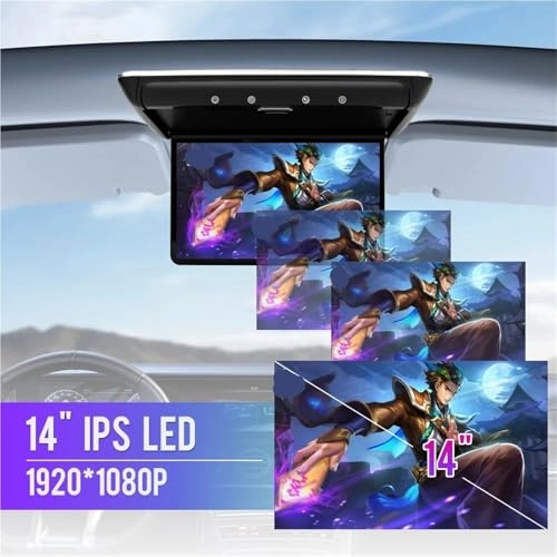 Car Roof Monitor - 14 Inch