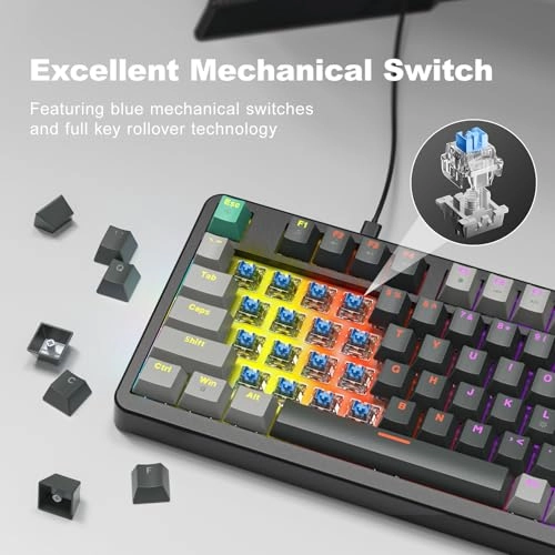AK-96 - 96-Key Layout USB-A