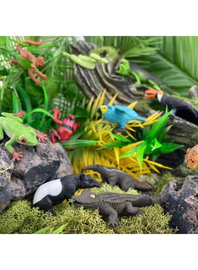 Rainforest TOOB - 11 pcs