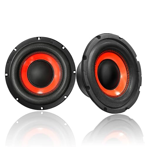FABTEC 10 Inch Subwoofer - 250W