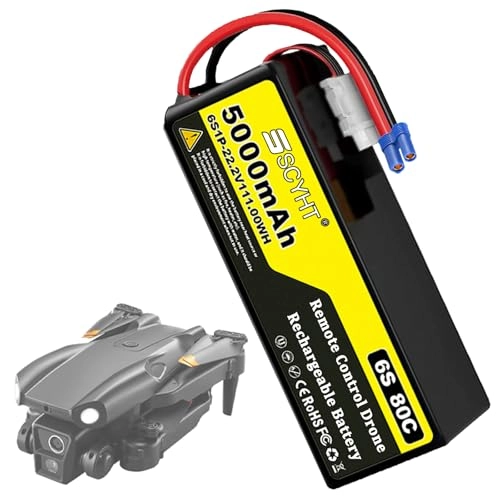 Lipo Battery 6S