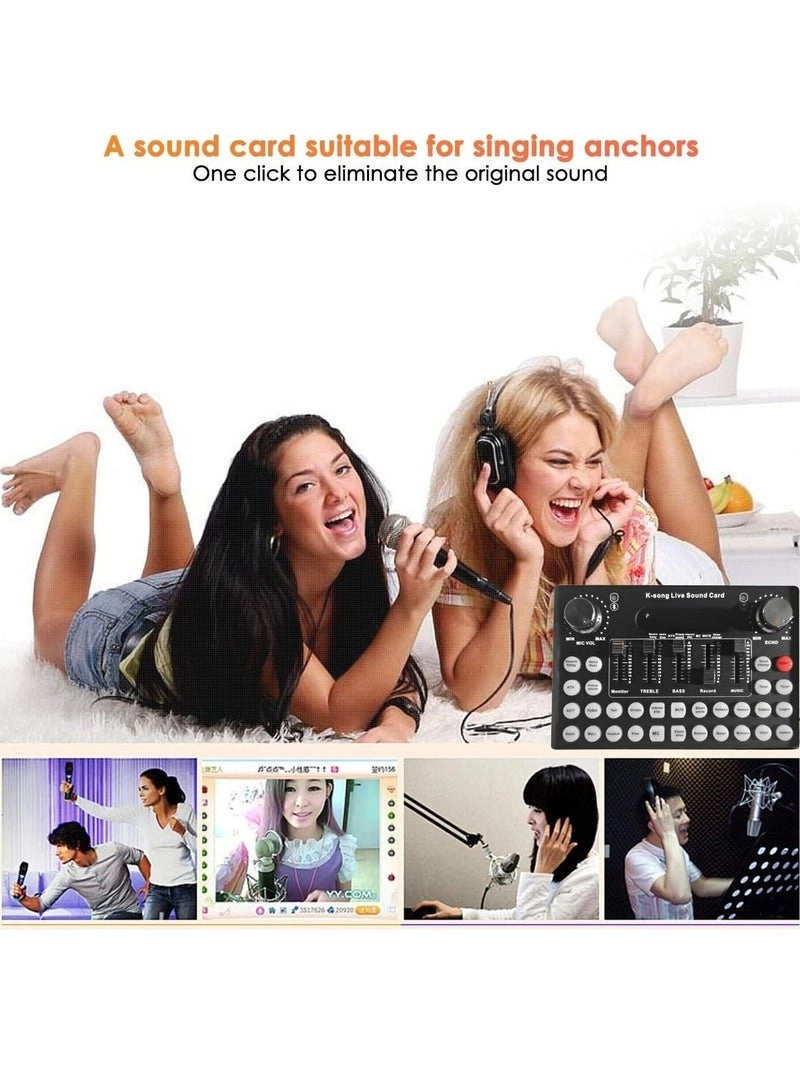 V8 Wireless+USB Microphone