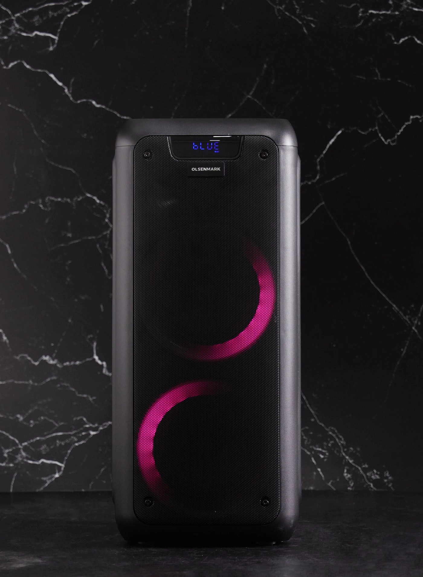 Rechargeable Party Speaker - 30 Watts RMS